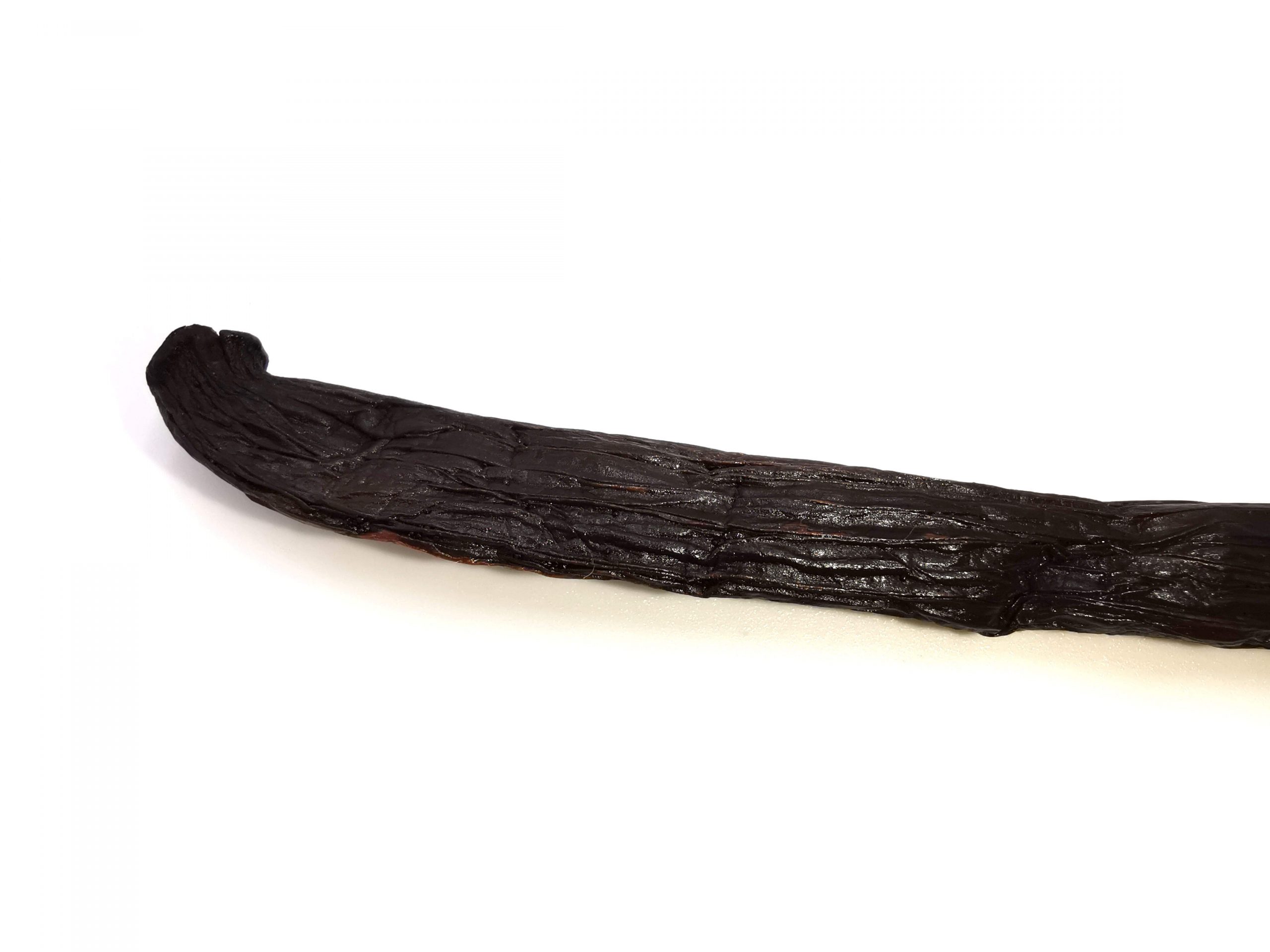 152-vainilla-vaina-madagascar-tk-12